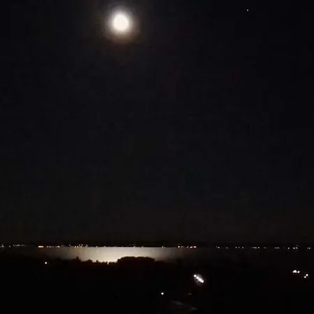 Retrospektív * Paloznak