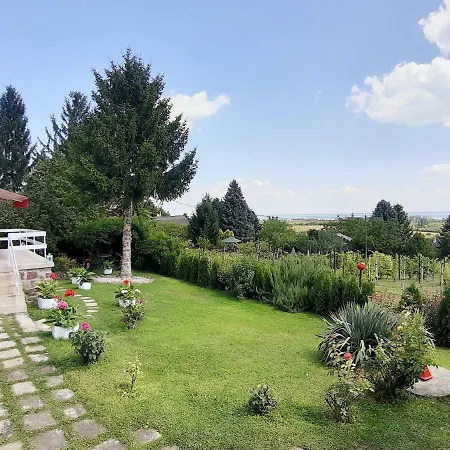 Retrospektív Paloznak